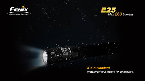 E25 4