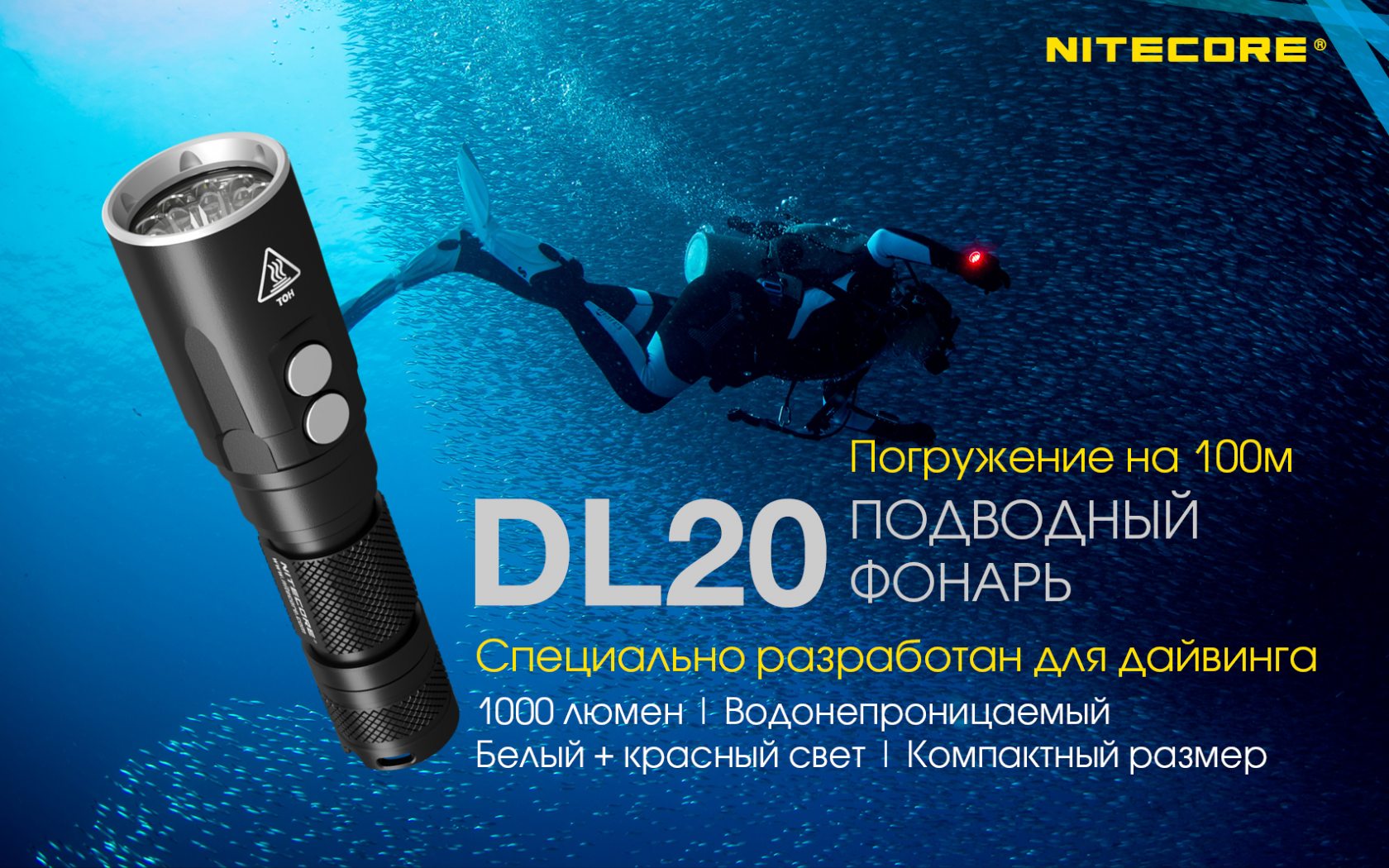 Nit-DL20-02