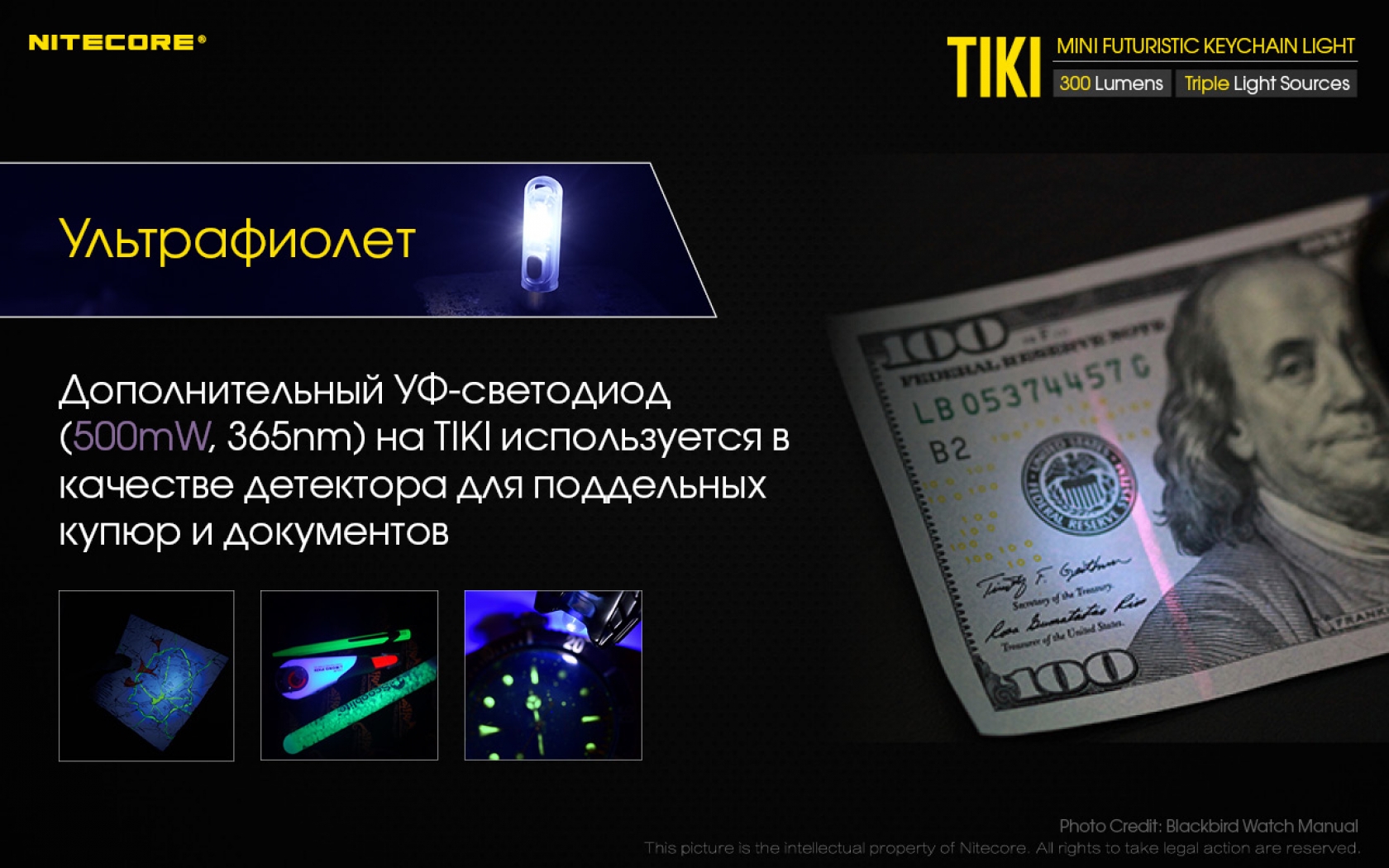 Nit-Tiki-08