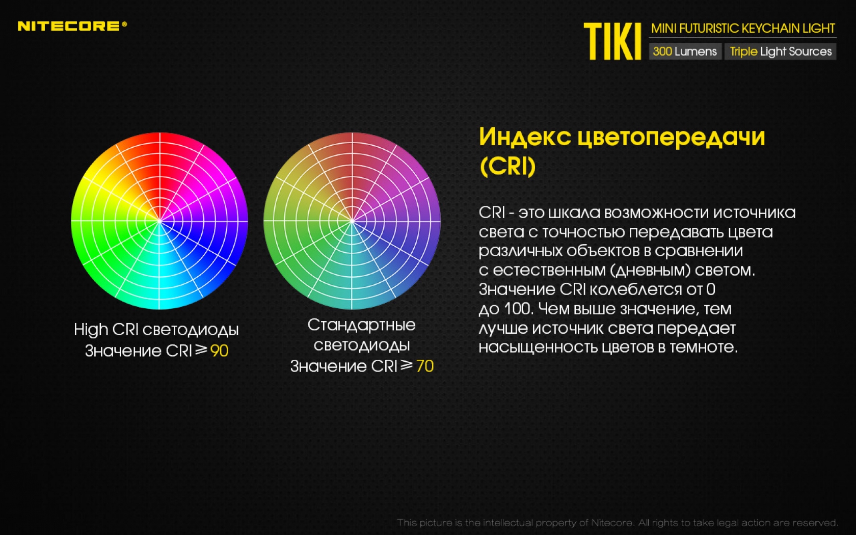 Nit-Tiki-10