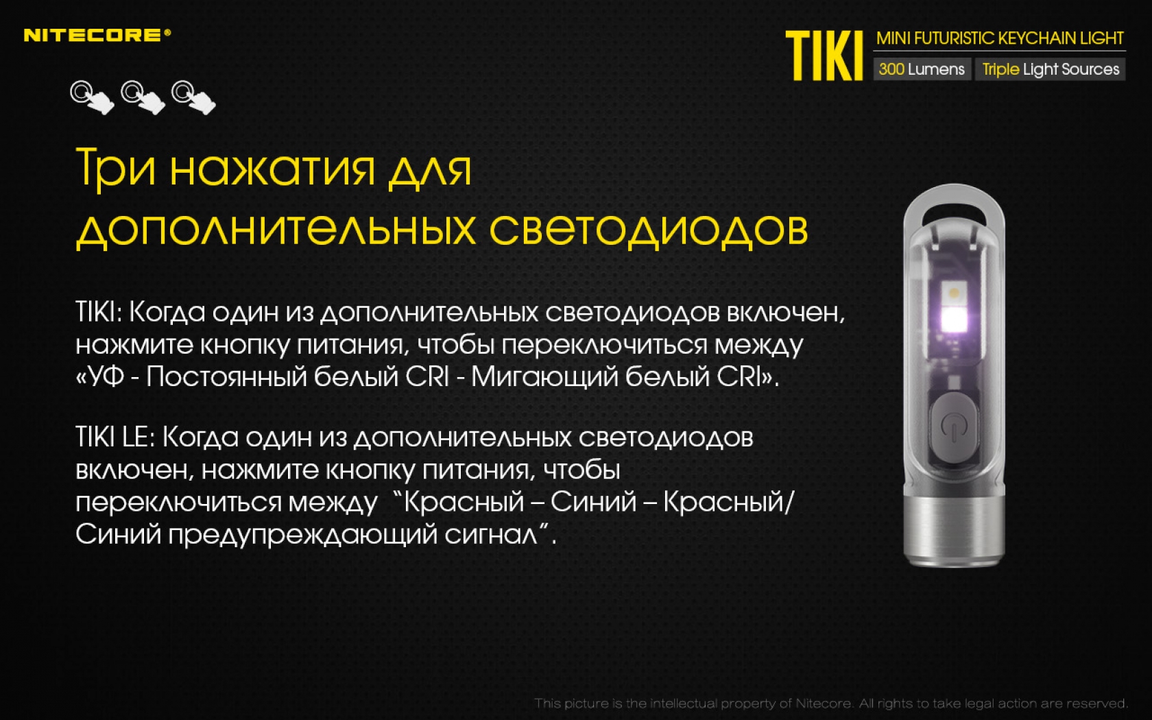 Nit-Tiki-15
