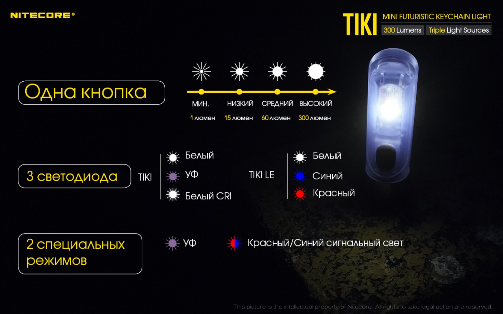 Nit-Tiki-16