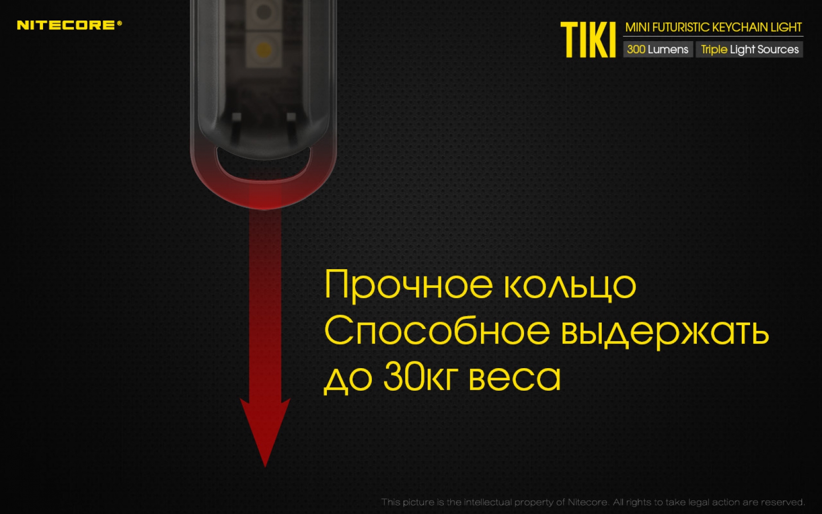 Nit-Tiki-41
